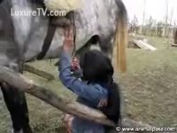Bitch craves for a big horse dick